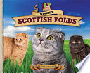 Sweet Scottish folds /