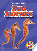 Sea horses /