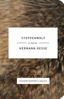 Steppenwolf : a novel /