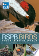 RSPB birds : their hidden world /