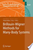 Brillouin-Wigner methods for many-body systems / Ivan Hubač, Stephen Wilson.