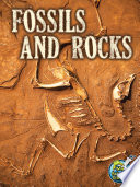 Fossils and rocks /