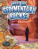 What are sedimentary rocks? /