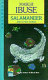 Salamander and other stories / Masuji Ibuse.
