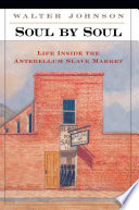 Soul by soul : life inside the antebellum slave market /
