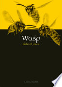 Wasp /