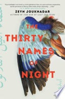 The thirty names of night : a novel / Zeyn Joukhadar.