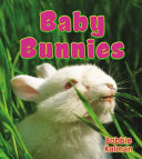 Baby bunnies /
