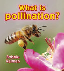 What is pollination? /