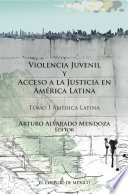 Violencia juvenil y acceso a la justicia en América Latina.
