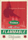 Sons and other flammable objects /