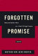 Forgotten promise : race and gender wars on a small college campus : a memoir /