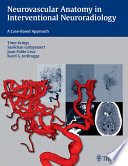 Neurovascular anatomy in interventional neuroradiology : a case-based approach /