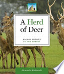 A herd of deer : animal groups in the forest /