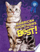 American shorthairs are the best! /