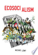 Ecosocialism : a radical alternative to capitalist catastrophe /