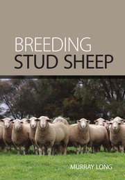 Breeding stud sheep /