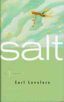 Salt : a novel /