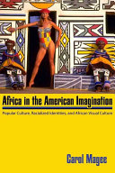 Africa in the American imagination : popular culture, racialized identities, and African visual culture /