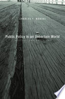 Public policy in an uncertain world analysis and decisions / Charles F. Manski.