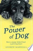 Power of dog : how a puppy helped heal a grieving heart /