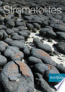 Stromatolites /