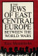 The Jews of East Central Europe between the world wars /