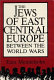 The Jews of East Central Europe between the world wars / Ezra Mendelsohn.