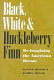 Black, white, and Huckleberry Finn : re-imagining the American dream /