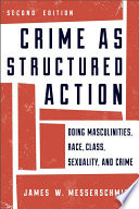 Crime as structured action doing masculinities, race, class, sexuality, and crime /