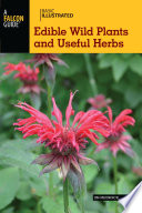 Basic illustrated : edible wild plants and useful herbs / Jim Meuninck.