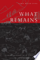 What remains coming to terms with civil war in 19th century China / Tobie Meyer-Fong.