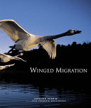 Winged migration /