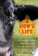 A cow's life : the surprising history of cattle and how the Black Angus came to be home on the range /