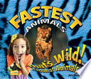 Fastest animals /