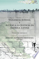 Violencia juvenil y acceso a la justicia en América Latina.