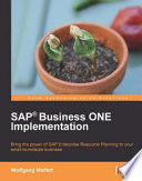 SAP Business ONE implementation : bring the power of SAP enterprise resource planning to your small-to-midsize business /