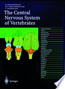 The central nervous system of vertebrates /
