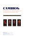 Cambios : the spirit of transformation in Spanish colonial art /