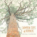 Champion trees of Arkansas : an artist's journey /