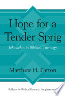 Hope for a tender sprig : Jehoiachin in biblical theology /