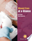 Wound care at a glance /