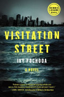 Visitation street : a novel /