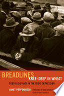 Breadlines knee-deep in wheat : food assistance in the Great Depression /
