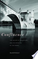 Confluence : the nature of technology and the remaking of the Rhône /
