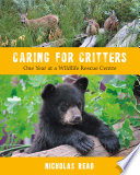 Caring for critters : one year at a wildlife rescue centre /