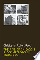 The rise of Chicago's Black metropolis, 1920-1929 /