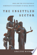 The Unsettled sector : NGOs and the cultivation of democratic citizenship in rural Mexico / Analiese Richard.