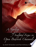 A typology of sculpted forms in open bedrock channels /