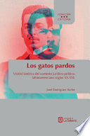 Los gatos pardos : vision historica del contexto juridico-politico latinoamericano (siglos XX-XXI) /